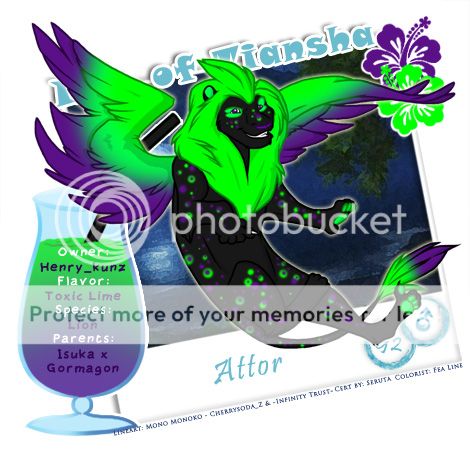 User Image